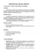 Caso clínico 1ª semana: medula espinal y sensibilidad