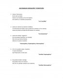 Cuales son las Adivinanzas percepcion