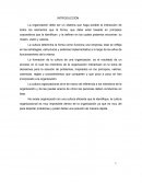 Ensayo cultura organizacional