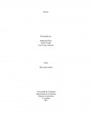 Las NIIF. Empresa es una organización dedicada a actividades con fines económicos o comerciales