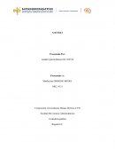 Componentes de la estructura básica de la contabilidad