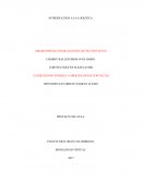 RELACION DE DECISIONES DE HILOS CONDUCTORES