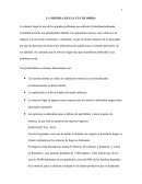 LA MINERIA ILEGAL EN COLOMBIA