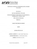 EMPRESA: THE REEF PLAYACAR