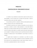 Construcción del conocimiento escolar
