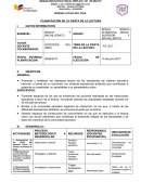 ENSAYO SOBRE PLANIFICACIÓN DE LA FIESTA DE LA LECTURA