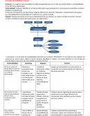 Auditoría de Sistemas Actividad 1.6