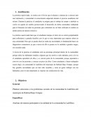 Analsis Justificación