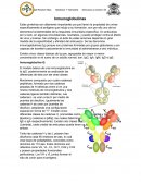 Resumen sobre las Inmunoglobulinas, Estructura y función