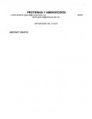 Aminoacidos y proteinas PRUEBA DE BIURET