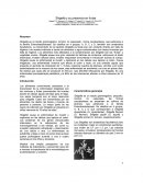 Shigella y su presencia en frutas