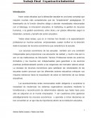 Teoria final organizacion idustrial