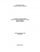 La gramática tradicional también conocida como “Gramática funcional”