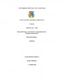 ENSAYO ARGUMENTATIVO