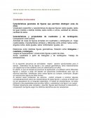 Características generales de figuras que permitan distinguir unas de otras.
