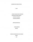 Argumentacion aracterice los enfoques del derecho. ¿Cuál de ellos considera más acertado y por qué?