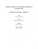 Como son las Tencologias Limpias de Produccion, Industria Cementera