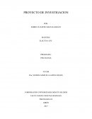 CUALES SON LOS PROYECTO DE ALZHEIMER EN ADULTOS MAYORES