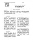 Laboratorio de Química Orgánica General, Facultad de Ciencias Naturales, Exactas y de la Educación, Universidad del Cauca, Popayán-Colombia.