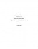 Control 8 Conductas laborales Patricio Enrique Contreras Contreras Técnicas en Prevención de Riesgos en Sector Productivo