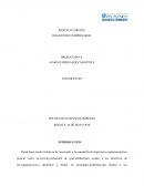 CUALES SON LAS MULTIMEDIALES Y NACIONALES