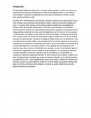 Organizacion y su desarrollo