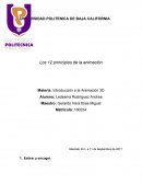 Ejemplo de Acción directa y Pose to pose