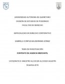 COMO ESTA CONTRATO DE AGENCIA