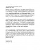 Osterwalder: Generación de modelos de Negocio