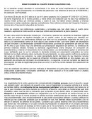 UN GRAN ENSAYO SOBRE EL CUARTO PLENO CASATORIO