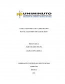 UN ENSAYO LEGISLACION LABORAL