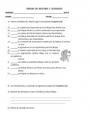 Prueba de historia ejemplarizada