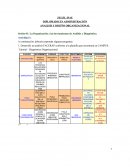 La Organización y las herramientas de Análisis y Diagnóstico.