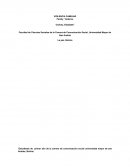 VIOLENCIA FAMILIAR - ENSAYO