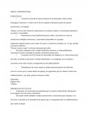 UNA NUEVA MEZCLA PROYECTO