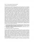 Tema 1: La ciencia económica de la empresa (práctica)