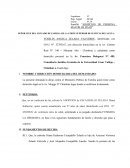 Demanda de adopcion de adulto mayor