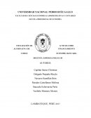 TITULIZACIÓN DE ACTIVOS COMO ALTERNATIVA DE FINANCIAMIENTO CURSO: ECONOMÍA BANCARIA