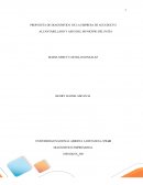 PROPUESTA DE DIAGNÓSTICO DE LA EMPRESA DE ACUEDUCTO ALCANTARILLADO Y ASEO DEL MUNICIPIO DEL PATÍA