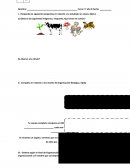 Evaluación Unidad 2 parte 1 El Cuerpo Humano y su organización