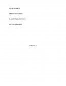 Organizaciones que aprenden, universidad galileo