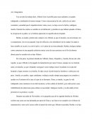 Act. Integradora Literatura etapa 1