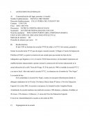 Cuales son los Antecedentes escuela oro negro