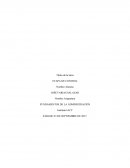 Tarea semana fundamentos de la administración