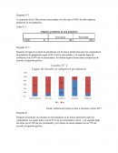 Investigacion encuestas