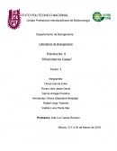 Laboratorio de Bioingeniería Práctica No. 5 “Difusividad de Gases”
