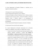 CARTA INTERNACIONAL DE DERECHOS HUMANOS