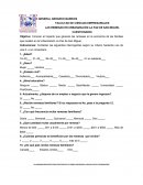 Como se da el Instrumento de recolección