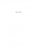 Ensayo “La Meta”