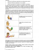 Guía nº 1 Unidades de medida